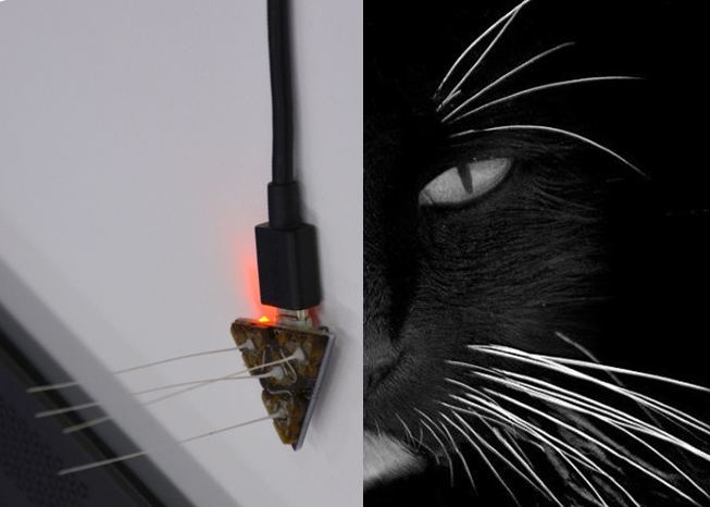 Artificial vibrissae